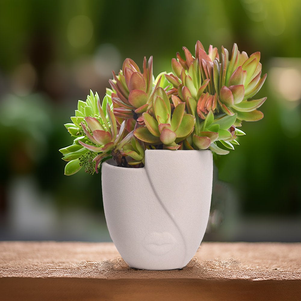 Garden Planters Pots Set of 2,Indoor Succulent Planter Pots with Drainage Hole,Ceramic Brown 5.4"W & 4.7"W