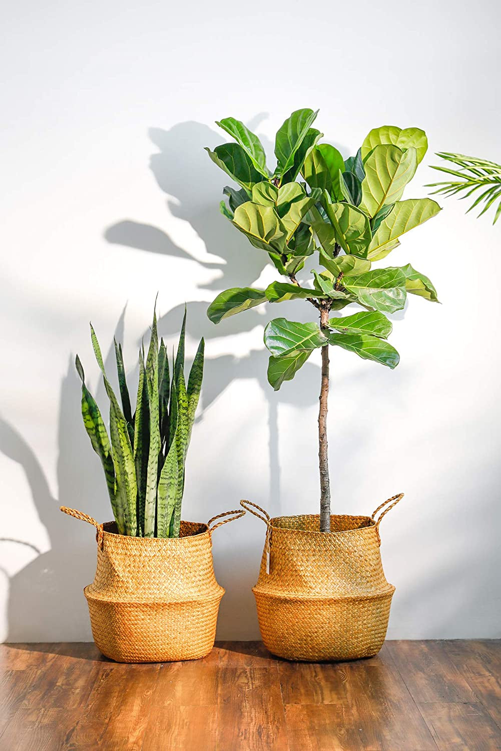 720303 2 Pack Seagrass Plant Basket - Hand Woven Belly Basket with Handles, Storage Laundry, Picnic, Plant Pot Cover, Home Decor and Woven Straw Beach Bag (Extra Large,Brown)