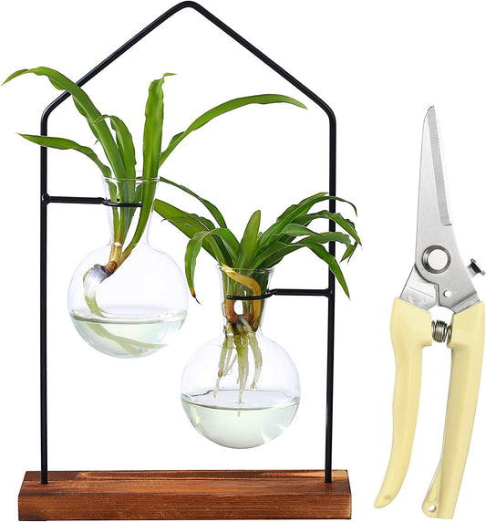 Propagation Stations for Indoor Plants, Plant Propagation Station for Hydroponic Plant, Terrarium Propagation with Bulb Vase for Air Plants,Propogation Planters Glass Bulb Vase for Office House Decor