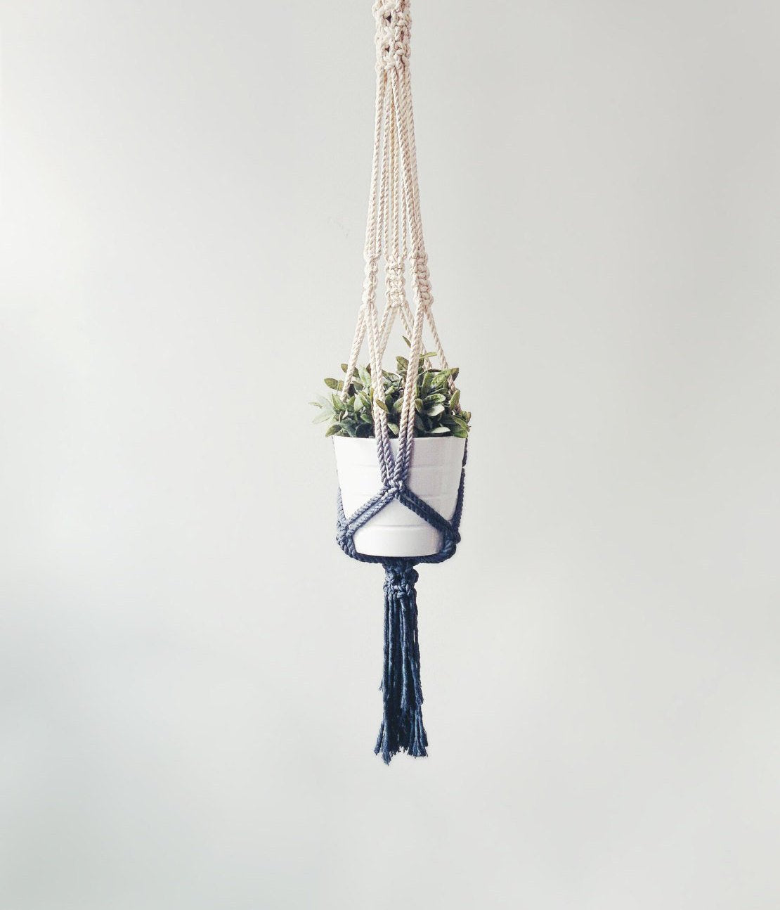 Macrame Plant Hanger, Hanging Planter, Dip Dyed