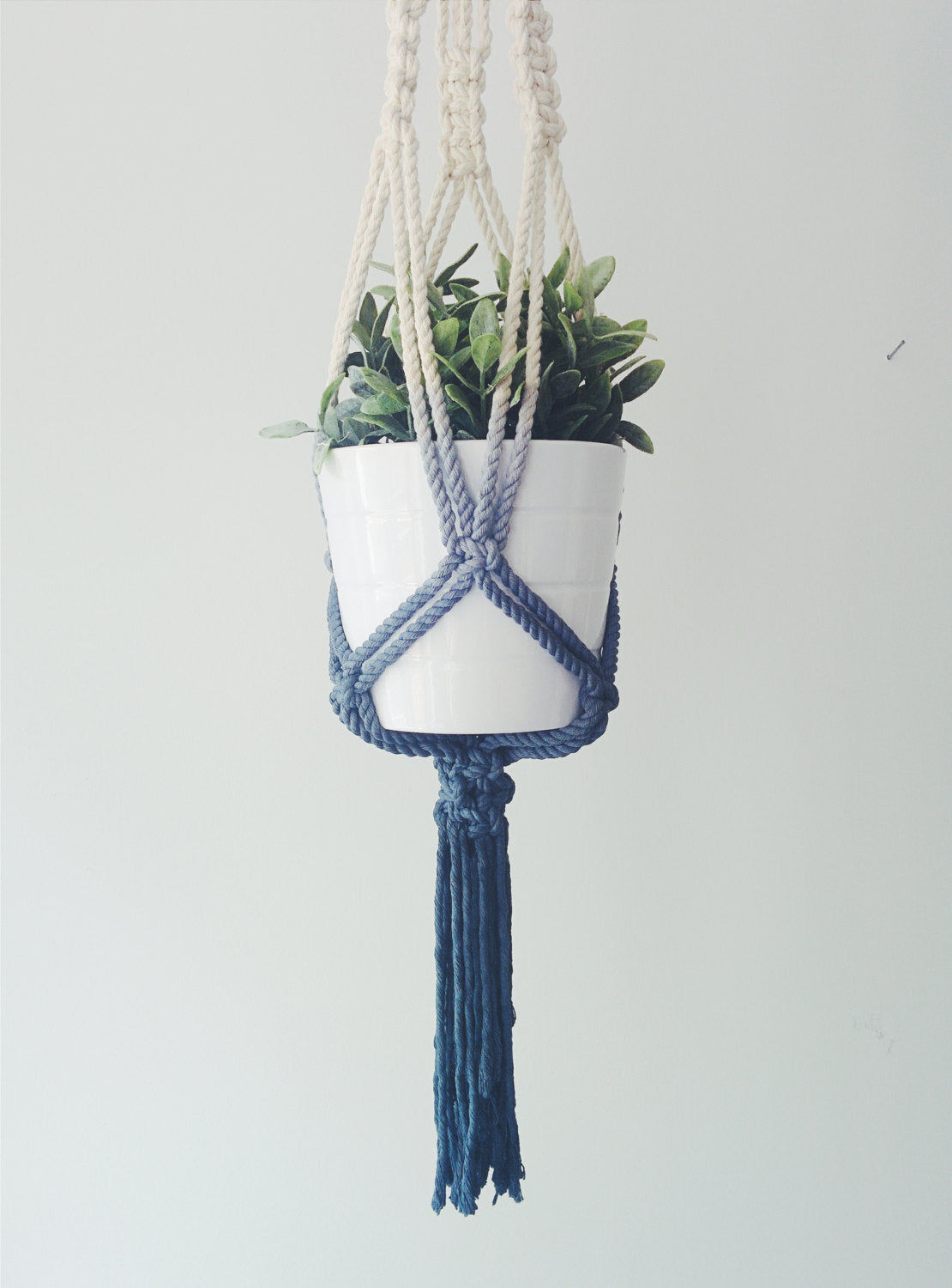 Macrame Plant Hanger, Hanging Planter, Dip Dyed