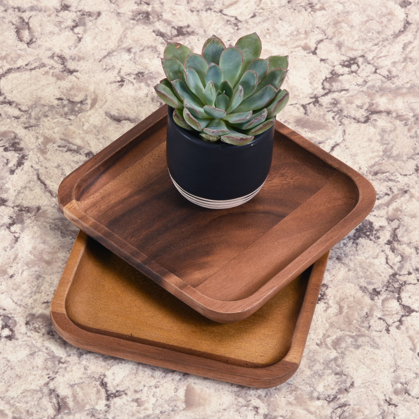 Square Plates - Small - S/2