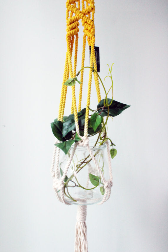 Macrame Plant Hanger, Hand Dyed, Hanging Planter