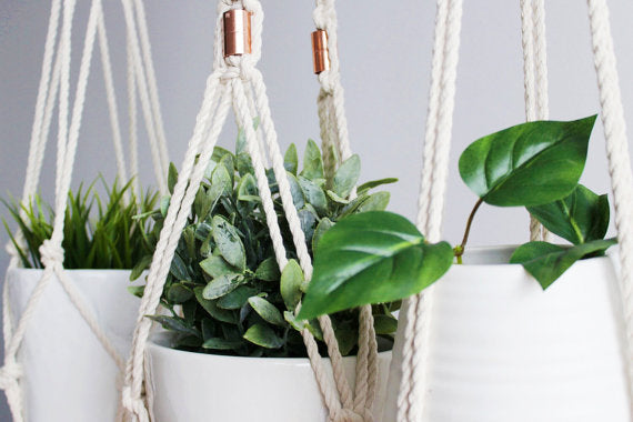 Macrame Plant Hanger, Hanging Planter, Indoor,