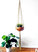 Macrame Plant Hanger, Hanging Planter