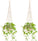 2 Pack Macrame Plant Hangers Indoor Boho Hanging Plant Holders with Wood Beads Macrame Hanging Planter Baskets Ivory 33.5" No Tassels